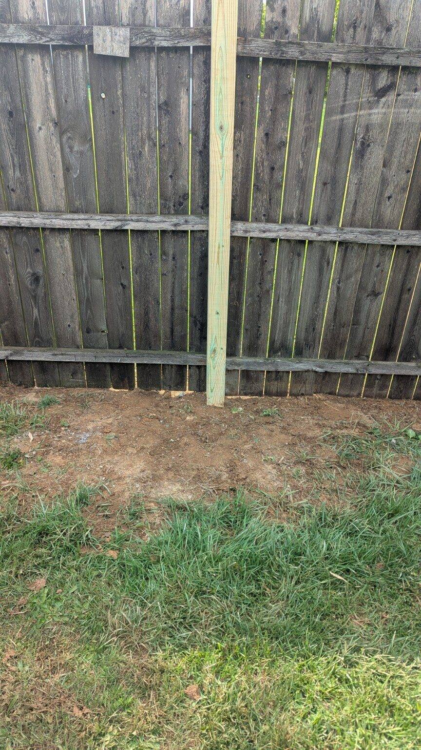Pressure-treated replacement post added to an older wood fence