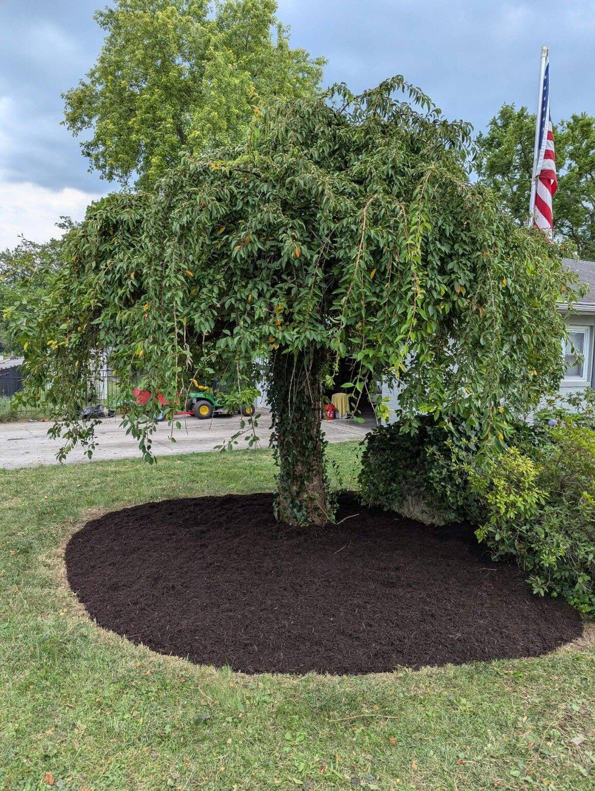 Finished dark mulch tree bed